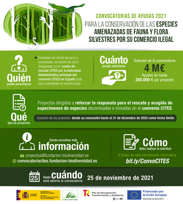 Fundación Biodiversidad- Cities