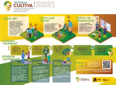 Programa Cultiva 2023