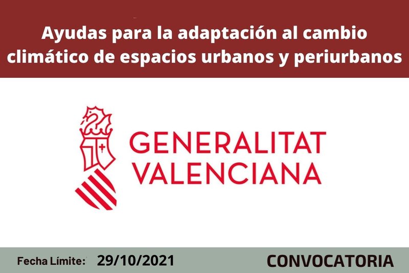 Ampliar imagen