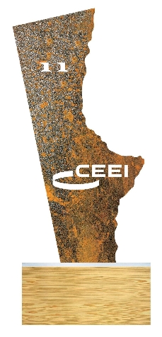 Premios CEEI-Impiva 2011