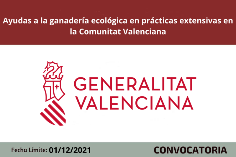 Ampliar imagen