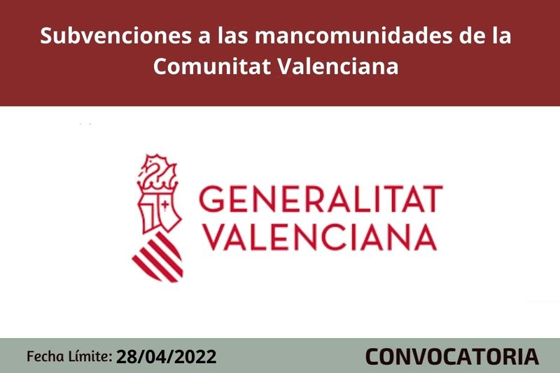 Ampliar imagen