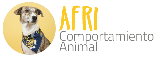 Afri Comportamiento Animal