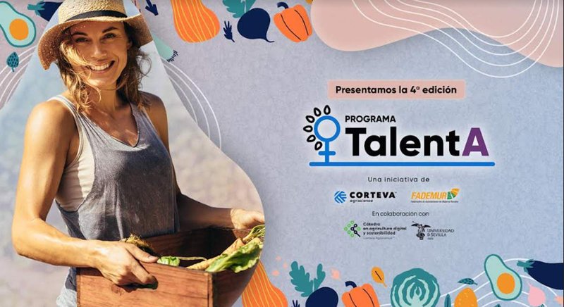 Ampliar imagen