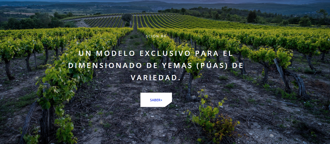 SOLUCIONES ENERGETICAS LEVANTE S.L