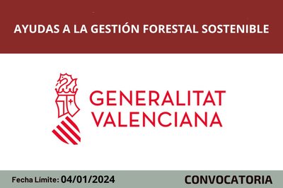 Ayudas a la gestión forestal sostenible CV