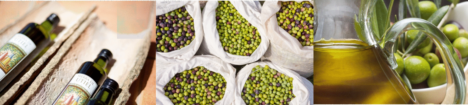 Aceite de las Heras