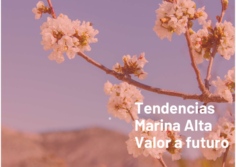 Marina Alta: Valor a futuro