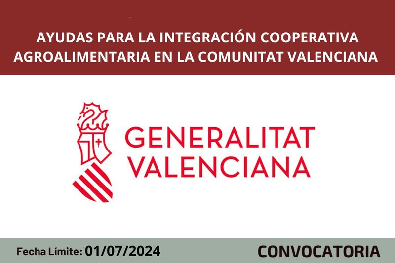 Ampliar imagen