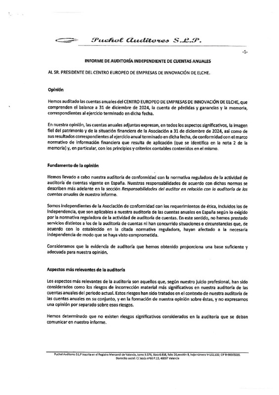 Cuentas anuales e informe de auditoras CEEI Elche 2024