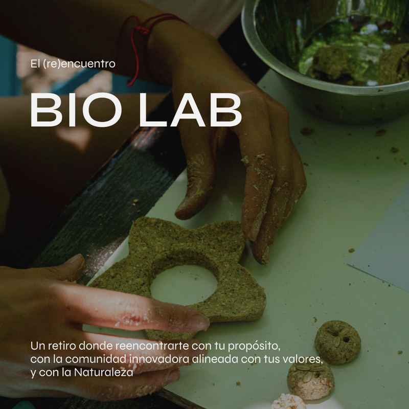 Summer Bio Lab 2025