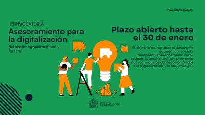 Ayudas al asesoramiento para la digitalización del sector agroalimentario y forestal