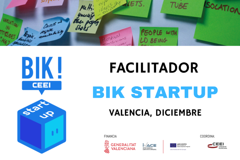 Facilitador Bik Startup Valencia