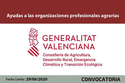 Ayudas a las organizaciones profesionales agrarias (OPA)