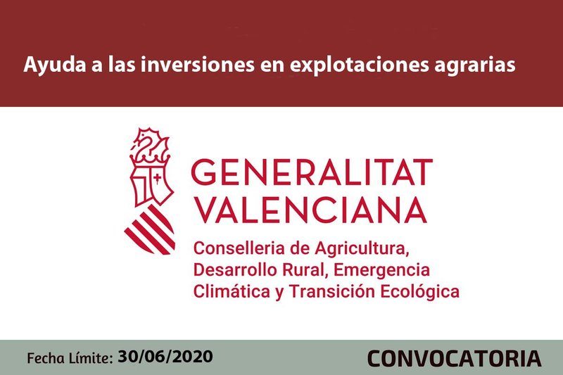 Ampliar imagen