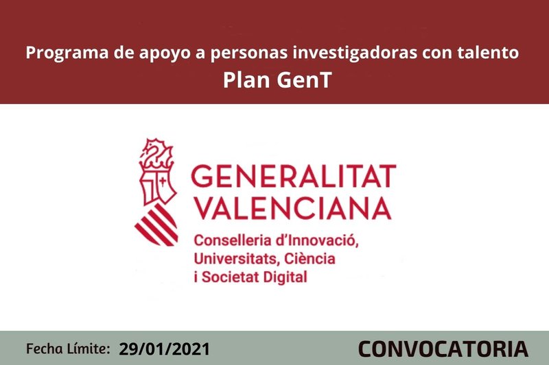 Ampliar imagen