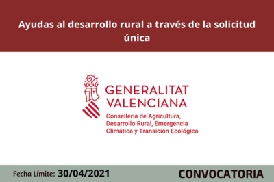 Bases Reguladoras de las ayudas al desarrollo rural a trav�s de la solicitud �nica