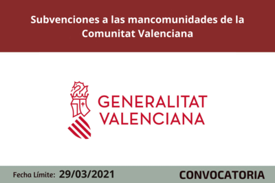 Bases de la Convocatoria
