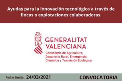 Bases de la Convocatoria