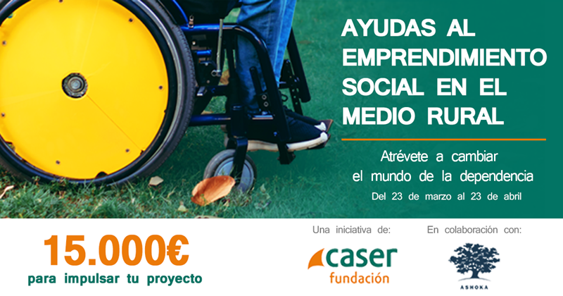 Ampliar imagen