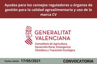 Bases de la Convocatoria