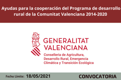 Bases de la Convocatoria