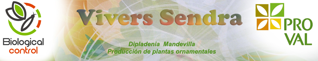 Vivers Sendra S.L.