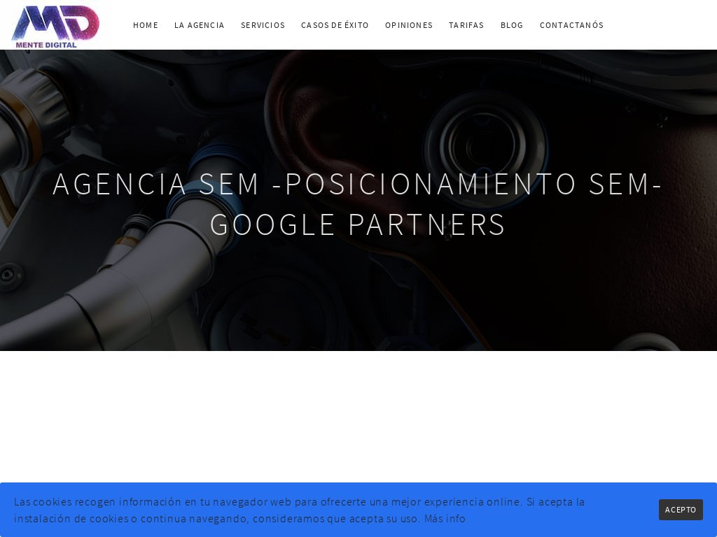 Agencia SEM-Posicionamiento SEM-Campaas Adwords