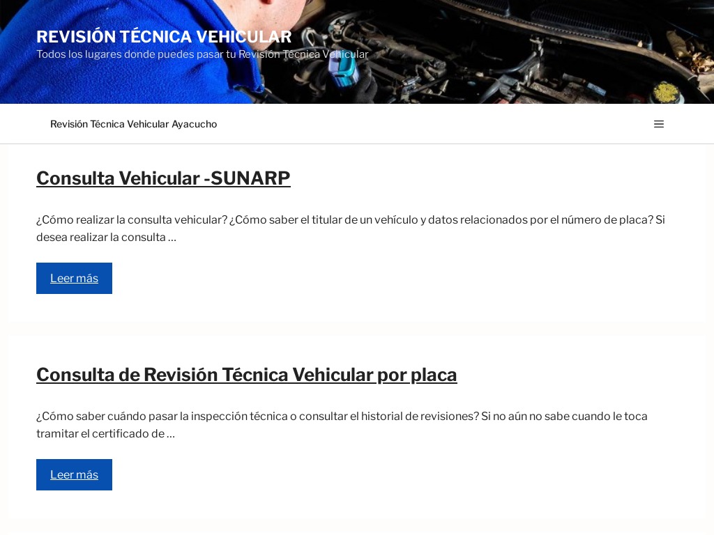 Revision Tecnica Vehicular