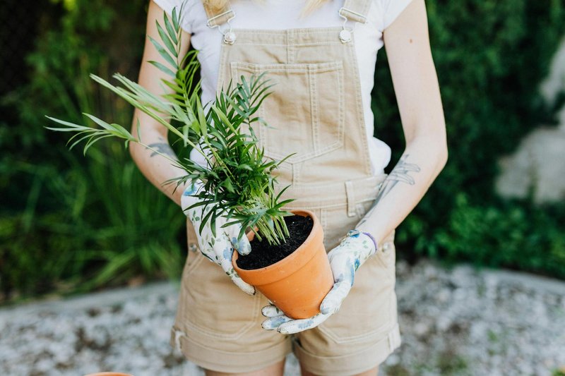 Indemnizan a una jardinera con 28.000  por sufrir acoso laboral