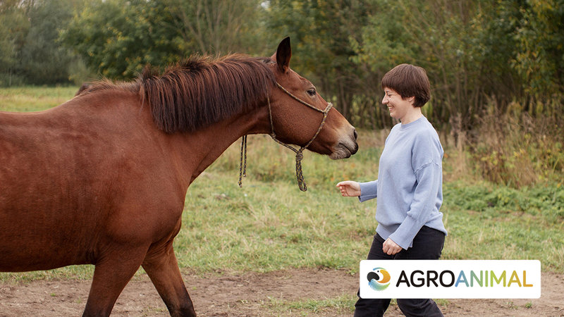 El lenguaje corporal de los caballos | Agroanimal